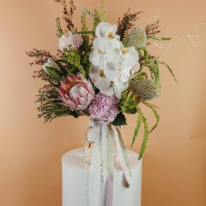 🌿SOFT CHAOS ERA - NATIVES