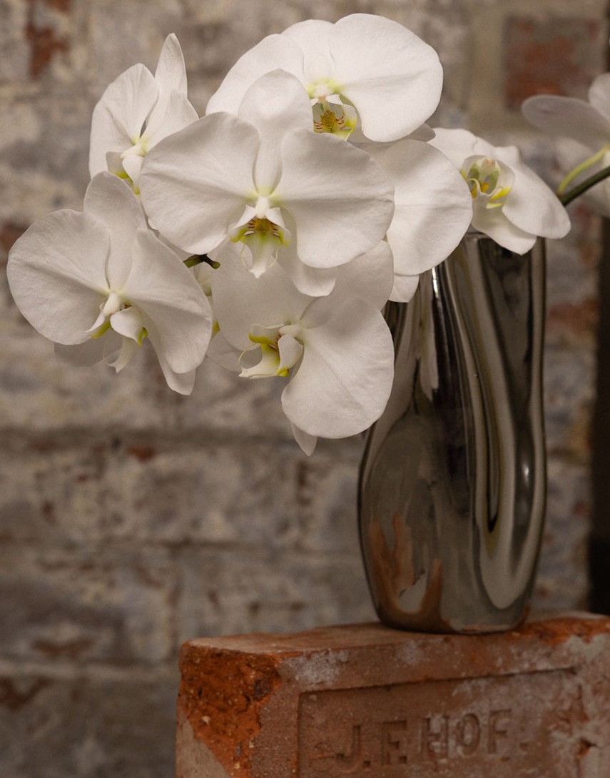 Events at The Bloom Room Townsville