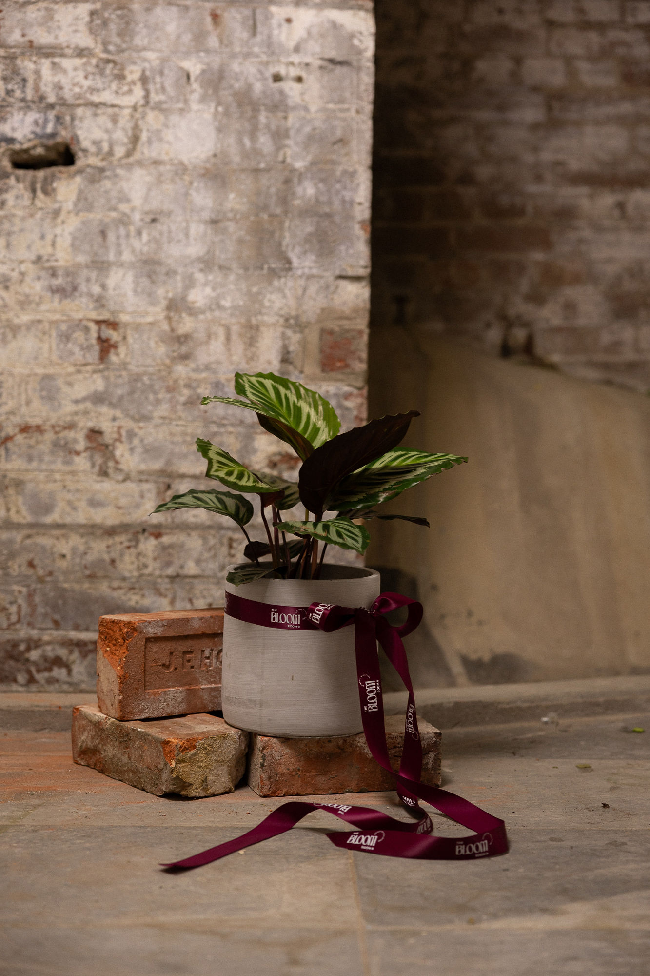 Roots orchid and anthurium arrangement, The Bloom Room Townsville